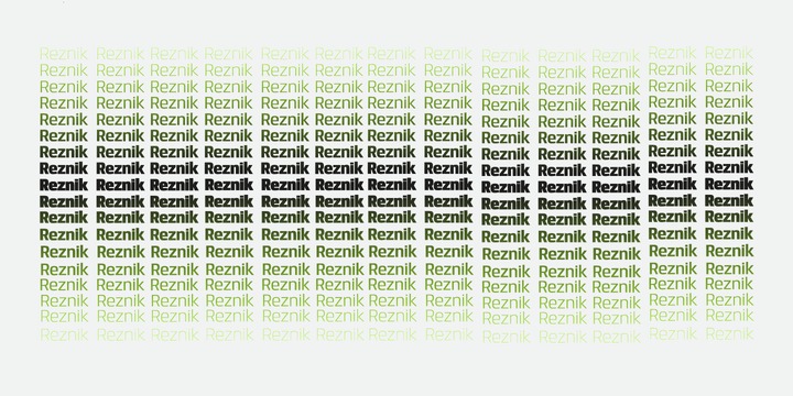 Пример начертания шрифта Reznik