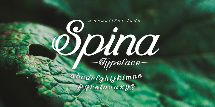 Пример начертания шрифта Spina