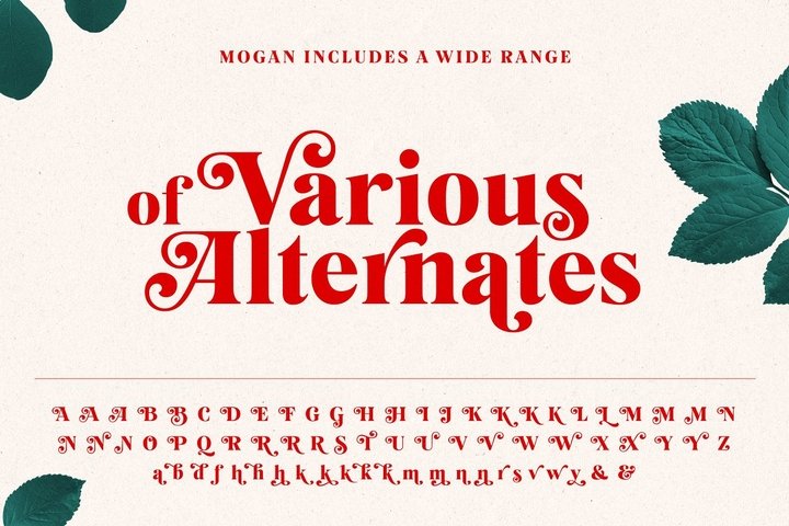 Пример начертания шрифта Mogan