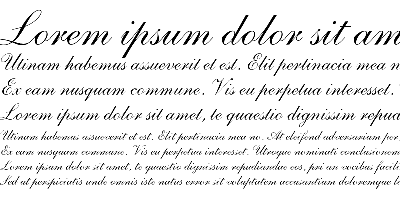Пример начертания шрифта Shelley Andante Script